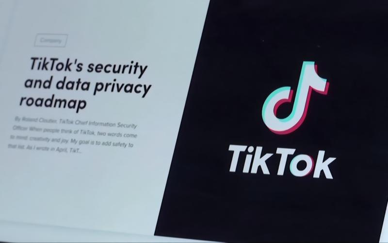 TikTok showcases Eastern aesthetics with lacquer art videos 