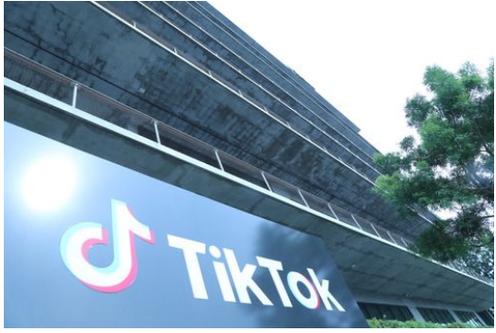 TikTok collaborates with book publishers to promote new releases 